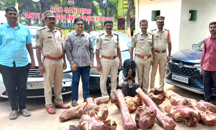 21 red sanders logs seized by task forece police