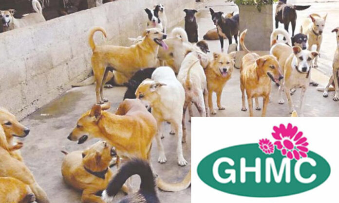 Corruption in GHMC steet dog control funds.jpg