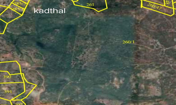 What actually happens in Kadtal Survey No. 260