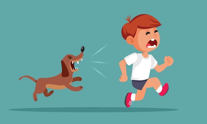 Can-People's-Lives-Be-Protected-from-Dog-Attacks Can People's Lives Be Protected from Dog Attacks
