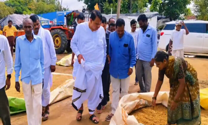 Wet grain inspection Wet grain inspection