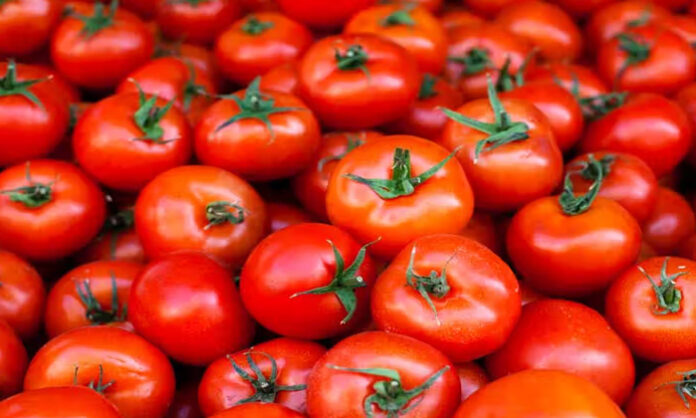 A kilo of tomatoes costs Rs. 600 A kilo of tomatoes costs Rs. 600