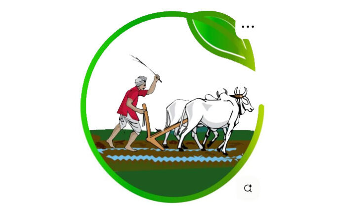 Farmers in Narsampet mandals checking urea bags for maize and paddy cultivation during Rabi season