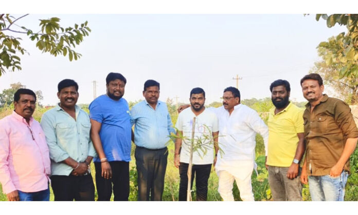 amla-tree-worship-awareness-kartika-month