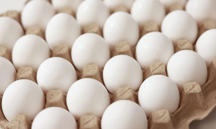 Which egg is better?