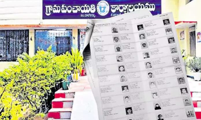 local body election