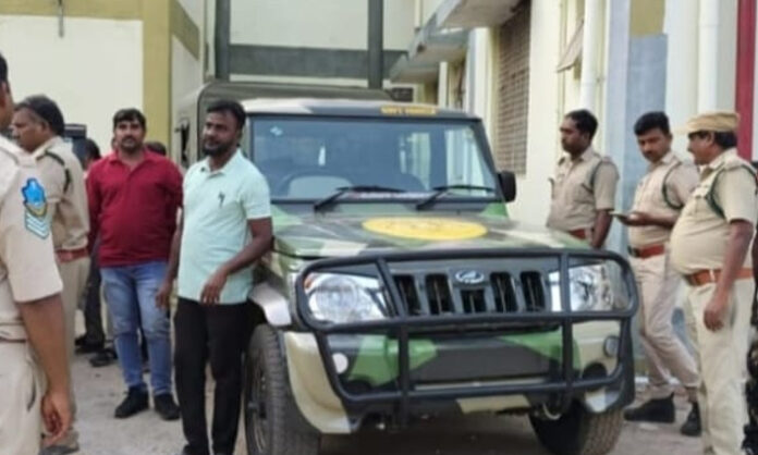 Attack On Forest Staff