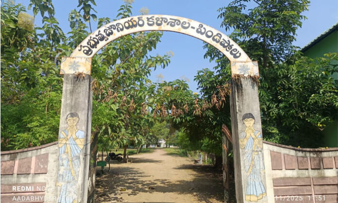 government-college-staff-alcohol-negligence-pindiprolu-junior-college-incident