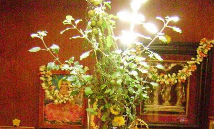 The special feature of the twelfth day of 'Ksheerabdhi'