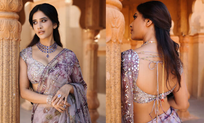 Heroine Nabha Natesh posing elegantly in beautiful stills showcasing her glamorous look.