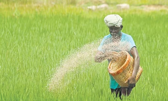 Adverse Effects of Chemical Pesticides in crops