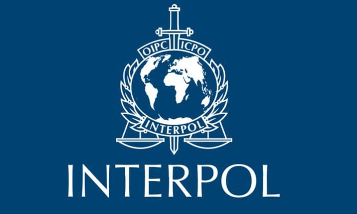 interpol told that animal trafficking crimes on record high