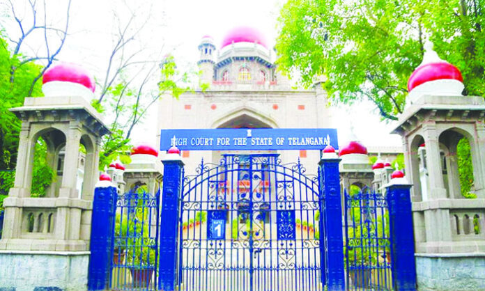 Telangana High Court questions police authority to issue search warrants and enter houses without judicial approval.