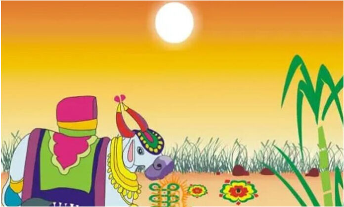 Traditional Sankranthi celebrations in Telangana village with grandparents, rangoli, sweets, and festive rituals.