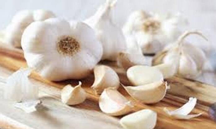 importance of garlic