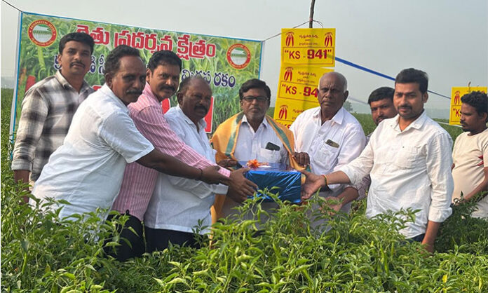 Farmers observing KS 941 hybrid chilli crop during field demonstration in Kamalapuram village