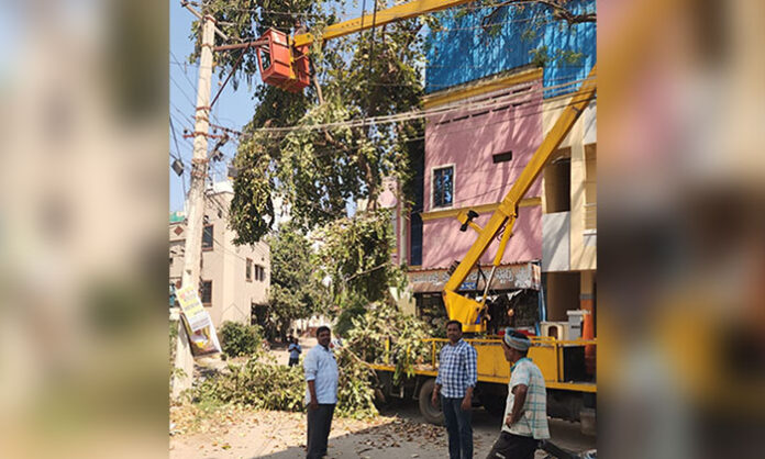 Tree branches touching power lines removed in Madhavnagar Colony under Greater Hyderabad Municipal Corporation in Karmanghat