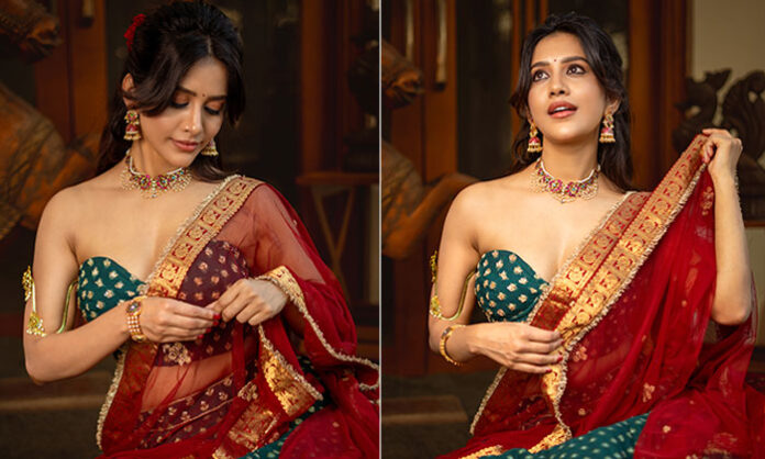 Nabha Natesh latest stills showcasing stylish look
