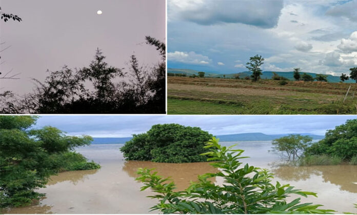 Devotees and tourists capturing the scenic natural beauty of forests and greenery in and around Medaram Jathara area