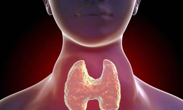 Illustration of thyroid gland in the neck explaining why symptoms continue despite taking thyroid tablets