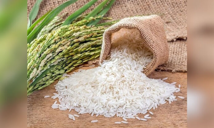Farmers from multiple Mandals gather in Narmetta village for the Farmers Festival and Oil Palm Factory inauguration, presided over by Chief Minister Revanth Reddy.
