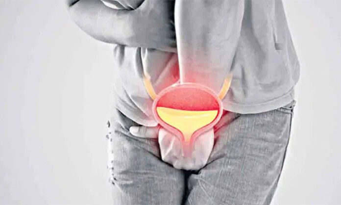 Illustration showing human kidneys and bladder highlighting health risks of holding urine for long periods