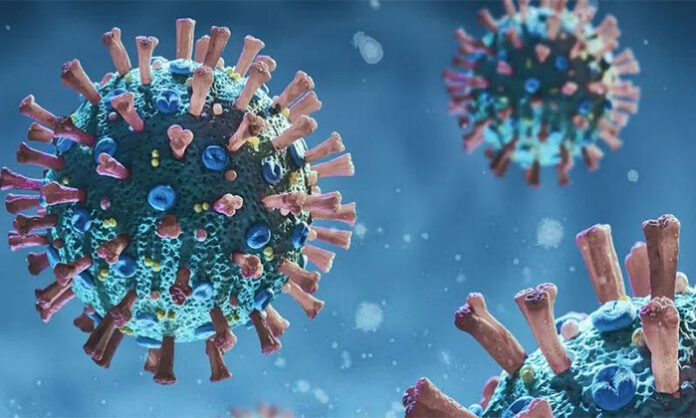 BA.3.2 COVID variant spreading across multiple countries with CDC issuing a global health warning about rising cases and mutations.