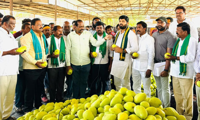 Chiluka Madhu Sudhan Reddy inspecting the Batasingaram fruit market during the mango season, ensuring farmers’ welfare, proper facilities, and compliance with FSSAI ripening guidelines