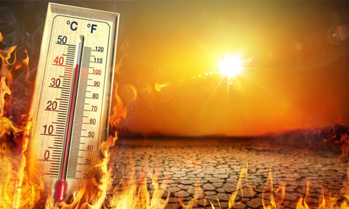 Scorching sun and extreme heat wave affecting environment, crops, and human life