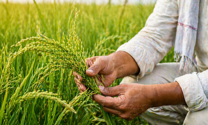Agriculture officer urging farmers to complete mandatory registration for farmer ID in Rangareddy district