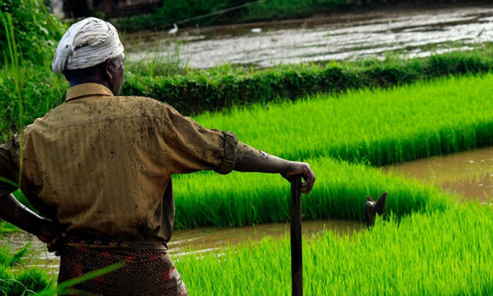 Farmers suffering due to middlemen fraud in market yards demanding CCTV surveillance and fair crop pricing