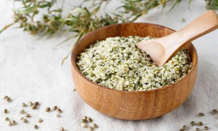 Hemp seeds as a plant-based protein source suitable for vegetarian diets with essential nutrients