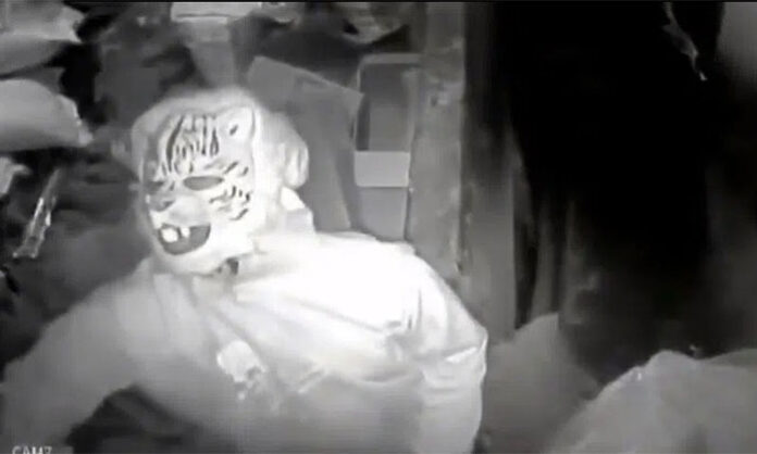 Lion Mask Thief Grocery Shop Robbery Anantapur CCTV Case