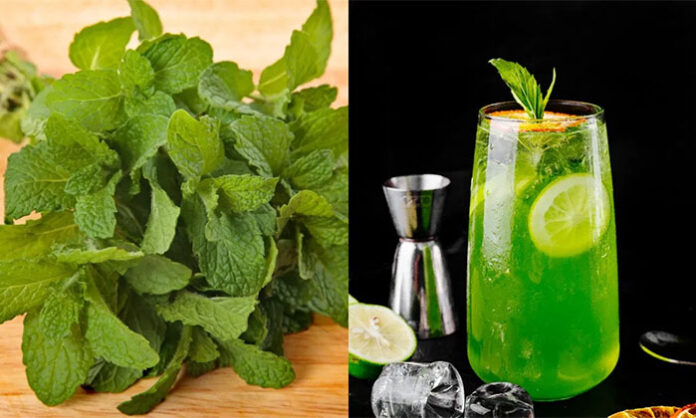 Fresh mint chutney made with mint leaves, garlic, ginger, green chilies, and spices; promotes cooling, digestive health, and summer wellness.