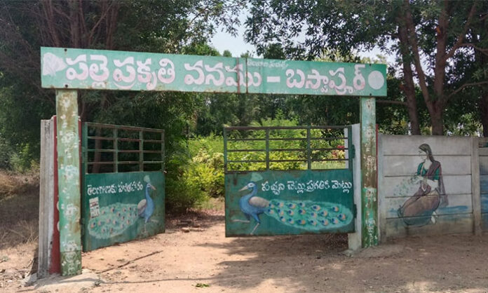 Neglected Palle Prakruthi Vanam in Baswapur village with drying trees and poor maintenance due to official inaction