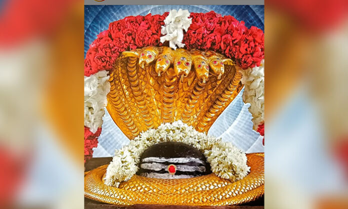 Sri Srisailam Bhramarambika Kumbhotsavam held on April 7th at the sacred Srisailam temple, featuring rituals and offerings to Goddess Bhramaramba and Lord Mallikarjuna.