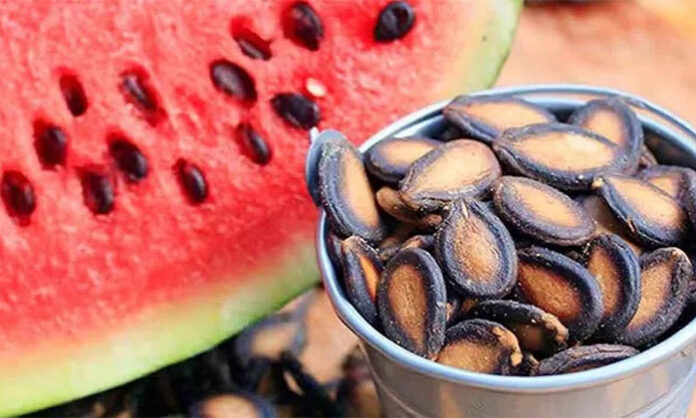 Watermelon seeds are safe to eat and provide essential nutrients like protein and fiber.
