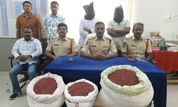 Police officials seizing fake cotton seeds during a raid in Bellampally mandal as part of an agricultural fraud investigation