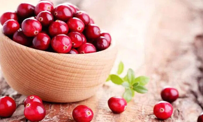 Cranberries as a natural remedy for urinary tract infections helping improve bladder and kidney health