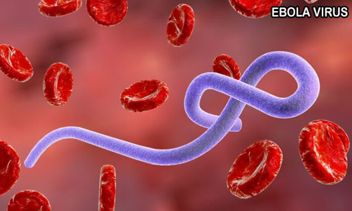 Comprehensive analysis of the Ebola virus covering its origins, symptoms, transmission, prevention, vaccines, treatment, and global public health impact.