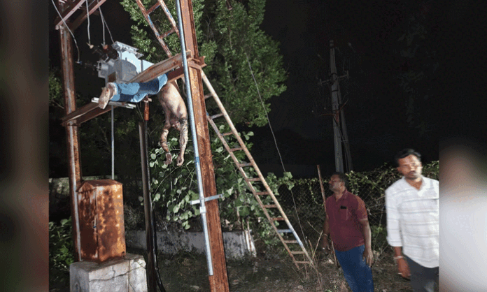Electricity Department lineman Karunakar Reddy died after suffering an electric shock while inspecting a power line near a transformer in Cheetakodur village of Jangaon district.