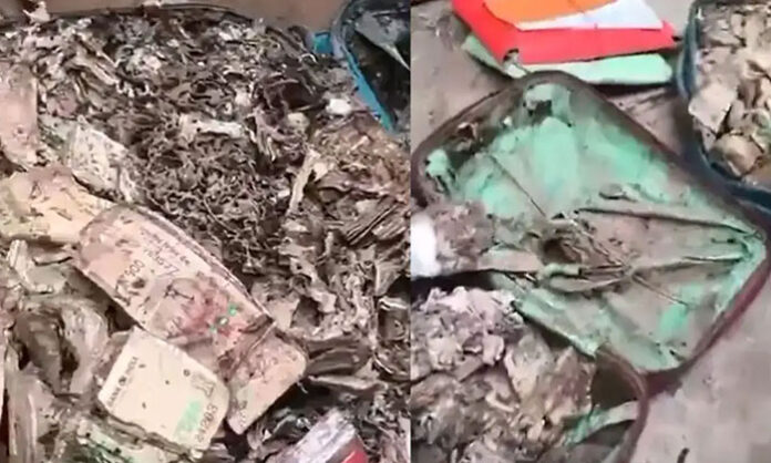 Officials inspecting termite-damaged currency bundles and a secret room discovered inside Surendranath College in Kolkata.