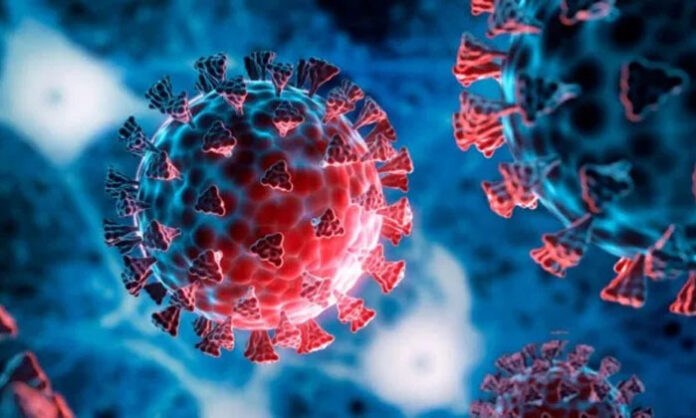 Health officials monitor the first COVID-19 case reported in Tirupati as Andhra Pradesh records a rise in coronavirus cases.