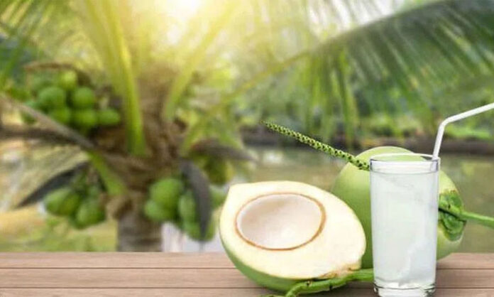 Fresh coconut water served as a natural hydration drink rich in electrolytes and beneficial for digestive and heart health.
