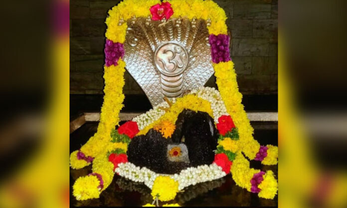 Devotees offer prayers to Lord Shiva on the rare Maha Shaivaksha Yoga observed on July 13.