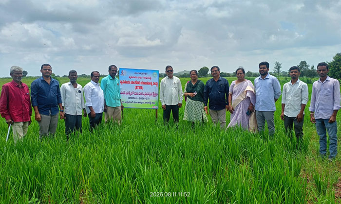 Atti Paddy Cultivation for Farmers2