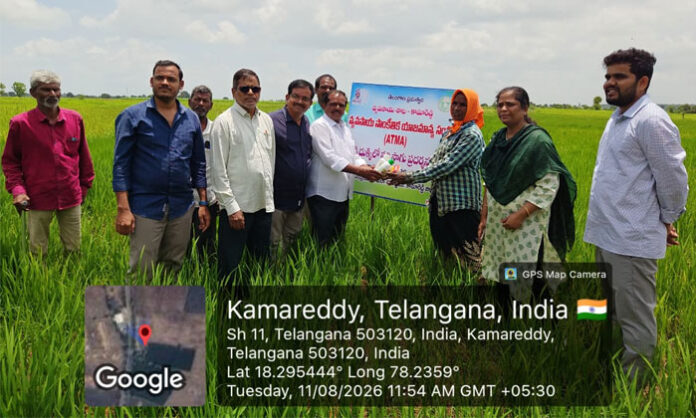 District Agriculture Officer Mohan Reddy inspecting Atti paddy cultivation in Errapahad village