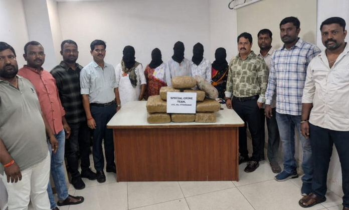 CCS and Gandhinagar police arrest five people and seize 38 kg of ganja worth ₹10 lakh in Hyderabad