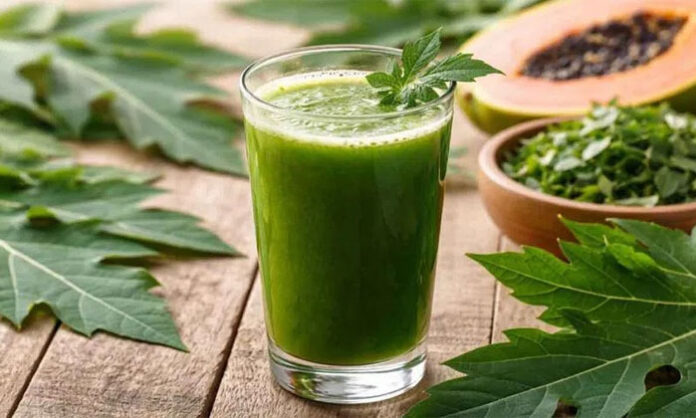 Papaya leaf juice and platelet count in dengue patients