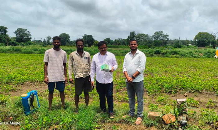 AEO Narsimlu | రైతులు పంట పొలాల్లో నీరు నిల్వ ఉండకుండా చూసుకోవాలి 1 Tadwai AEO Advises Farmers to Drain Stagnant Water2